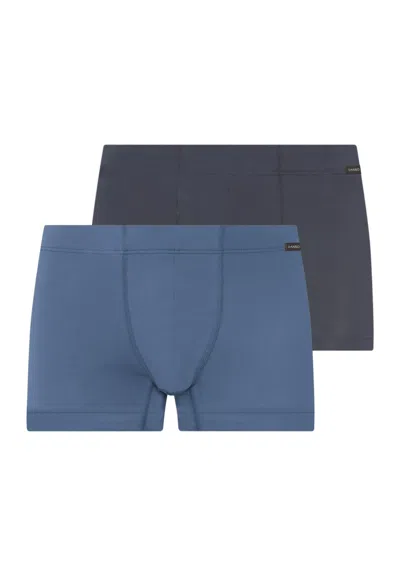 Hanro Cotton Essentials 2-pack Cotton Boxer Briefs With Covered Waistband In Stormy Gray/tanzanite