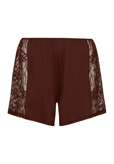 Hanro Elia Knickers In Brown