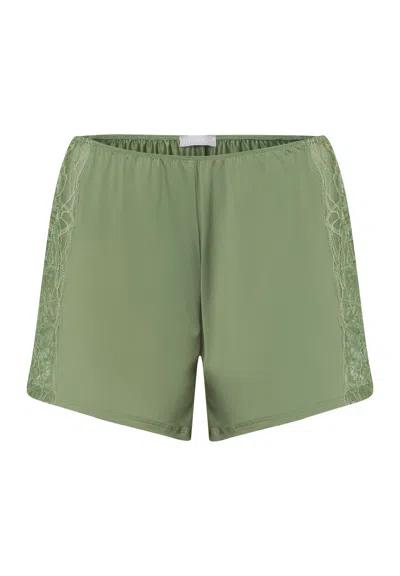 Hanro Elia Knickers In Green