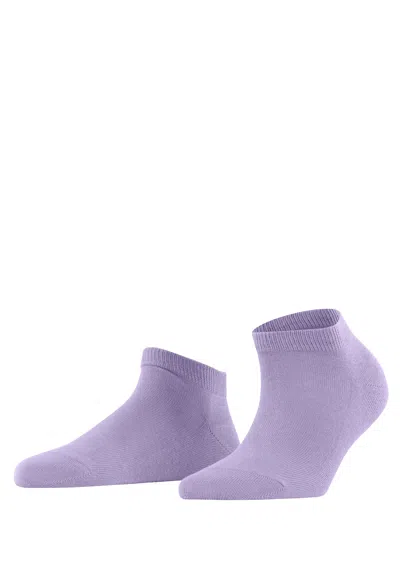 Hanro Falke Family Sn In Purple