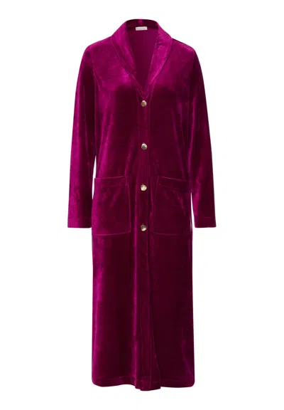 Hanro Favourites Shawl Collar Button Up Velvet Robe In Purple