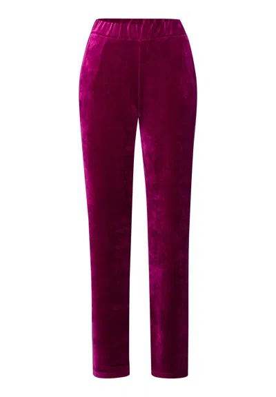 Hanro Favourites Velvet Lounge Pants In Purple