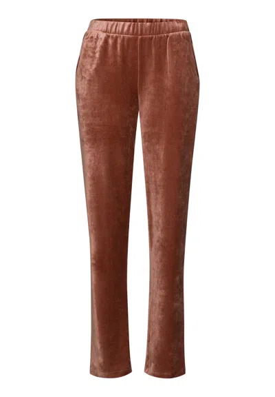 Hanro Favourites Velvet Pants In Brown
