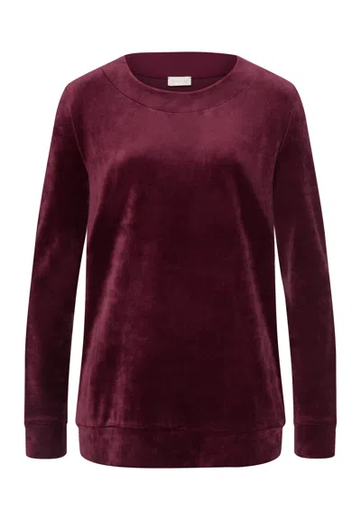 Hanro Favourites Velvet Round Neck Pullover In Brown