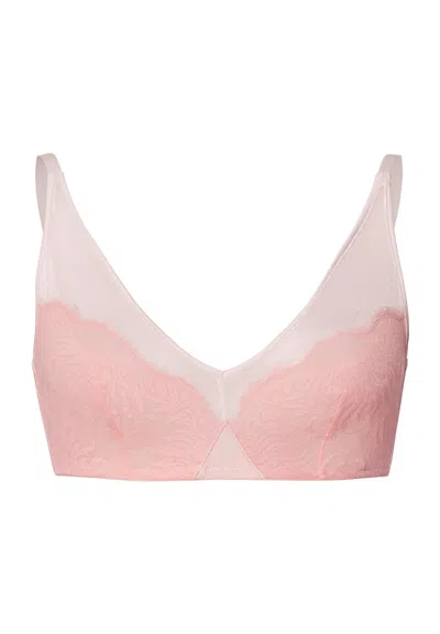 Hanro Gale Lace Accented Soft Cup Bra In Pink