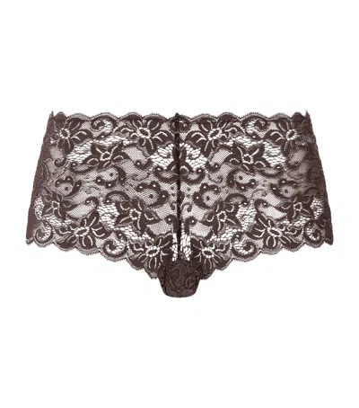 Hanro Lace Moments Maxi Briefs In Brown