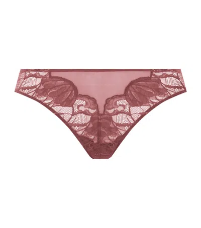 Hanro Lace-trim Lysia Thong In Brown
