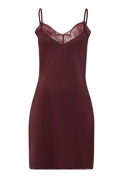 Hanro Lilith Lace Trim Bodydress In Brown
