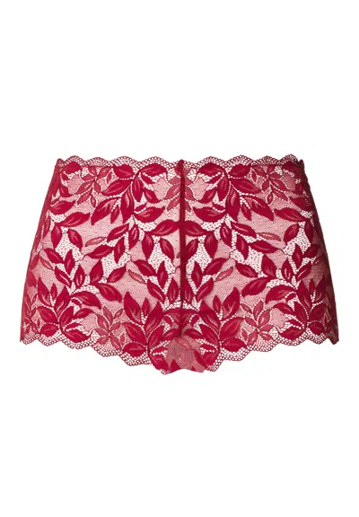 Hanro Luxury Moments Boyleg In Pink