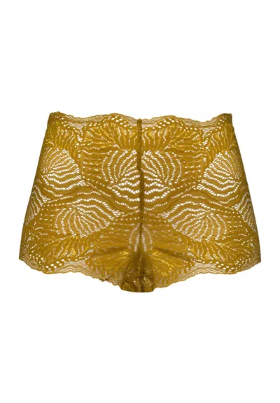 Hanro Luxury Moments Lace Boyleg In Brown