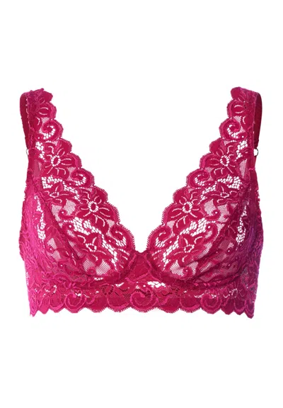 Hanro Luxury Moments All Lace Soft Cup Bra In Pink
