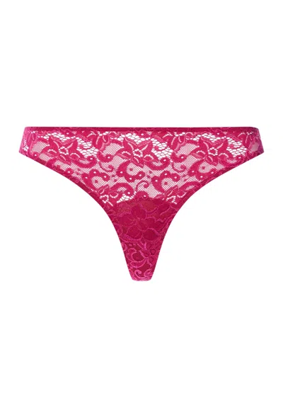 Hanro Luxury Moments Lace Thong In Light Sangria