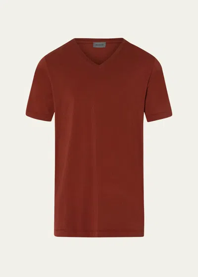 Hanro Men's Living V-neck Shirt In Russet Brown