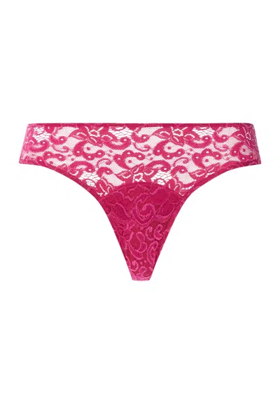 Hanro Moments Lace Bikini In Pink