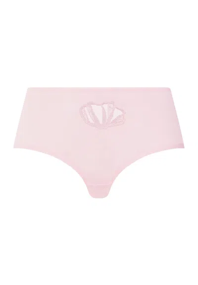 Hanro Rosaria Embroidered Cotton Full Brief In Rose Bath