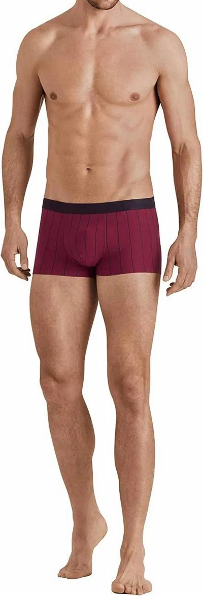 Hanro Striped Cotton Knit Boxer In Burgundy In Purple