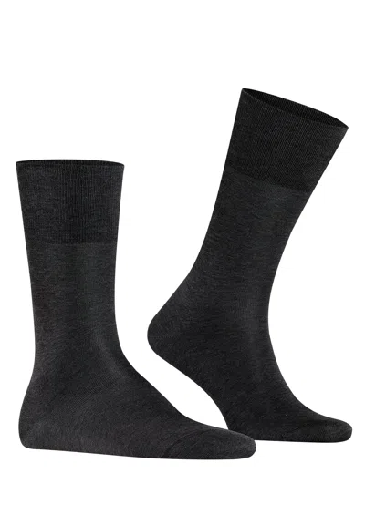 Hanro Tiago Kh Socks In Black