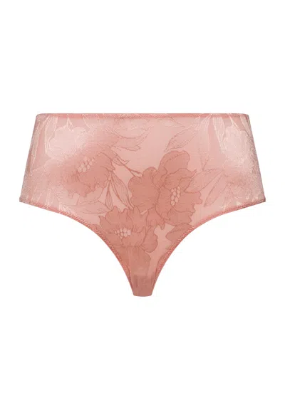 Hanro Tina Floral Full Brief In Brown