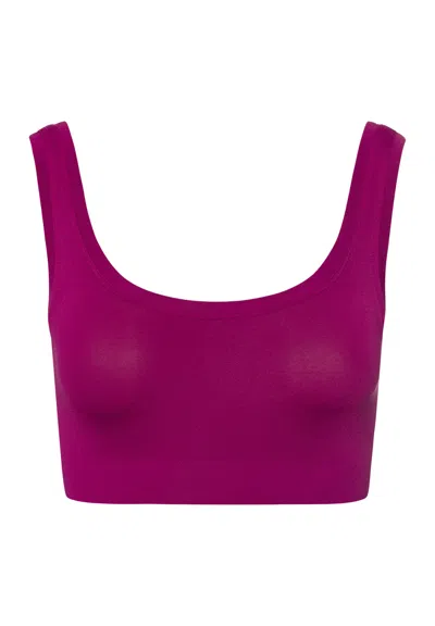 Hanro Touch Feeling Crop Top In Purple