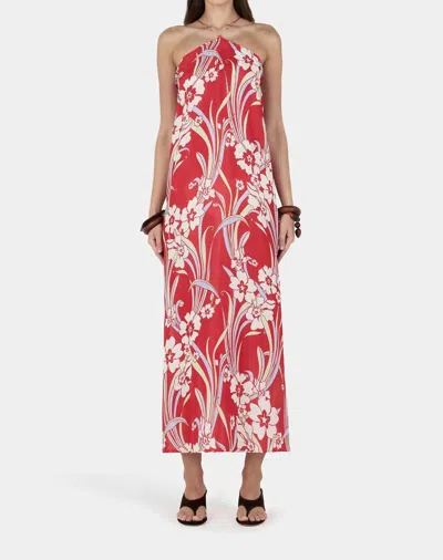 Hansen And Gretel Cinzia Midi Dress In Retro Hawaii In Multi