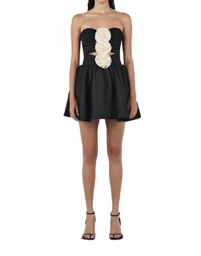 Hansen And Gretel Jacquie Mini Dress In Black/cream
