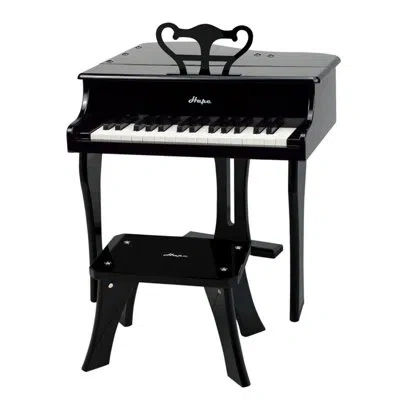 Hape Happy Grand Musical Instrument Toy