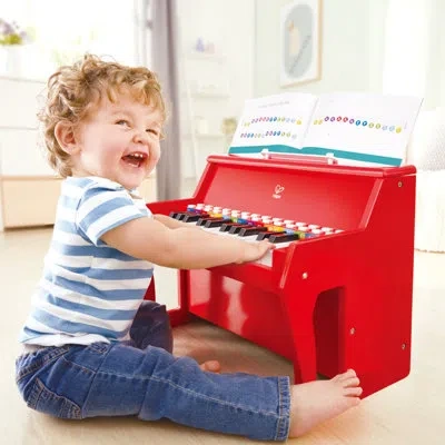 Hape Musical Instrument Toy