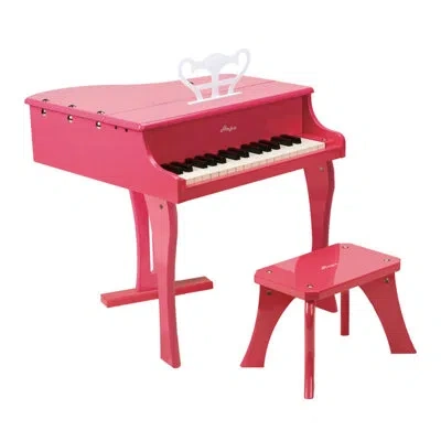 Hape Musical Instrument Toy