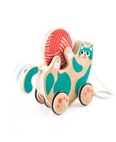 Hape Walk-a-long- Roll Rattle Kitten Toddler Toy In Multi