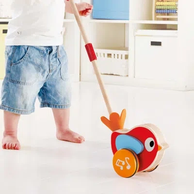 Hape Walk A Long Bird Push Pull Toy