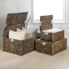 Happimess Brooks Classic Farmhouse Woven Hyacinth Rectangular Storage Baskets With Lids And Handles (set Of 3) In Brown