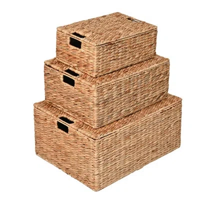 Happimess Bushman Classic Farmhouse Woven Hyacinth Rectangular Storage Baskets With Lids And Handles (set Of 3 In Natural