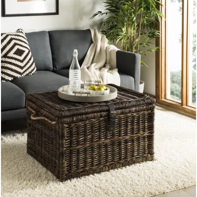 Happimess Caden Wicker Trunk In Brown