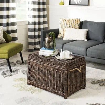 Happimess Jacob Hand-woven Wicker Storage Trunk In Brown