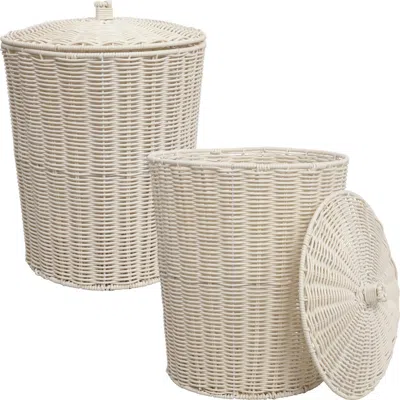 Happimess Ollie Resin 4.7-gallon Tapered Round Wicker Watebasket With Lid In Neutral