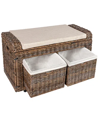 Happimess Palermo 34.50in 2 Drawer Wicker Storage Bench
