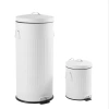 Happimess Theo Retro 8-gallon Step Trash Can With Soft-close Lid And Mini Trash Can In White