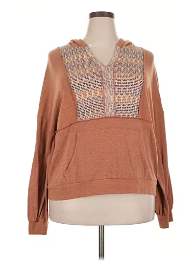Pre-owned Haptics Long Sleeve Top Brown Cowl Neck Tops