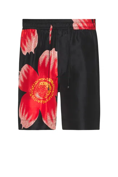 Harago Floral Printed Shorts In Black