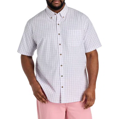 Harbor Bay By Dxl Big & Tall Easy-care Small Plaid Sport Shirt V3 In Purple
