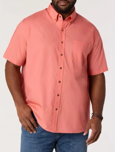 Harbor Bay By Dxl Easy-care Solid Sport Shirt In Lantana