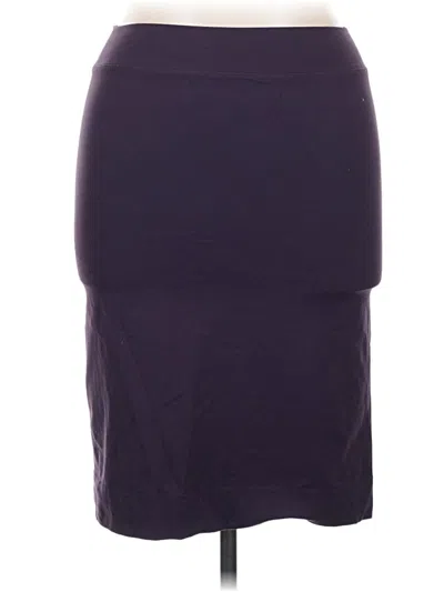Pre-owned Hard Tail Casual Skirt In Purple