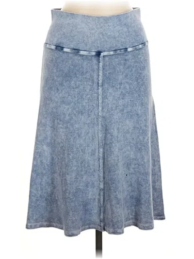Pre-owned Hard Tail Denim Skirt In Blue