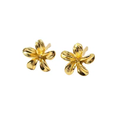 Harfi Women's Dainty Mini Tiny Flower Stud Gold Plated Earrings