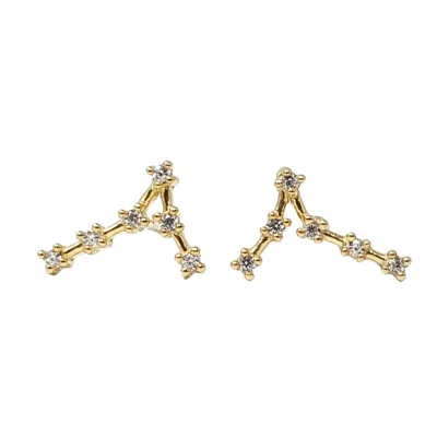 Harfi Women's Gold Pisces Star Sign Constellation Astrology Tiny Earrings