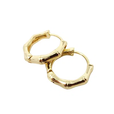 Harfi Women's Gold Plated Bamboo Everyday Huggie Earrings