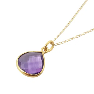Harfi Women's Gold / Purple Amethyst February Birthstone Purple Pendant Charm Necklace In Multi