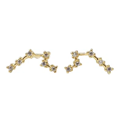 Harfi Women's Gold / Silver Aquarius Star Sign Constellation Astrology Earrings In Multi