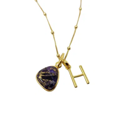 Harfi Women's Gold / Yellow Gold Vermeil Plated Amethyst February Birthstone Initial Charm Necklace