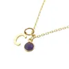 Harfi Women's Gold / Yellow Mini Amethyst February Birthstone And Initial Gold Plated Necklace In Gold